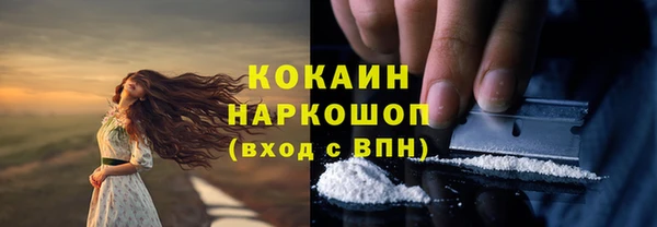 мяу мяу мука Алзамай